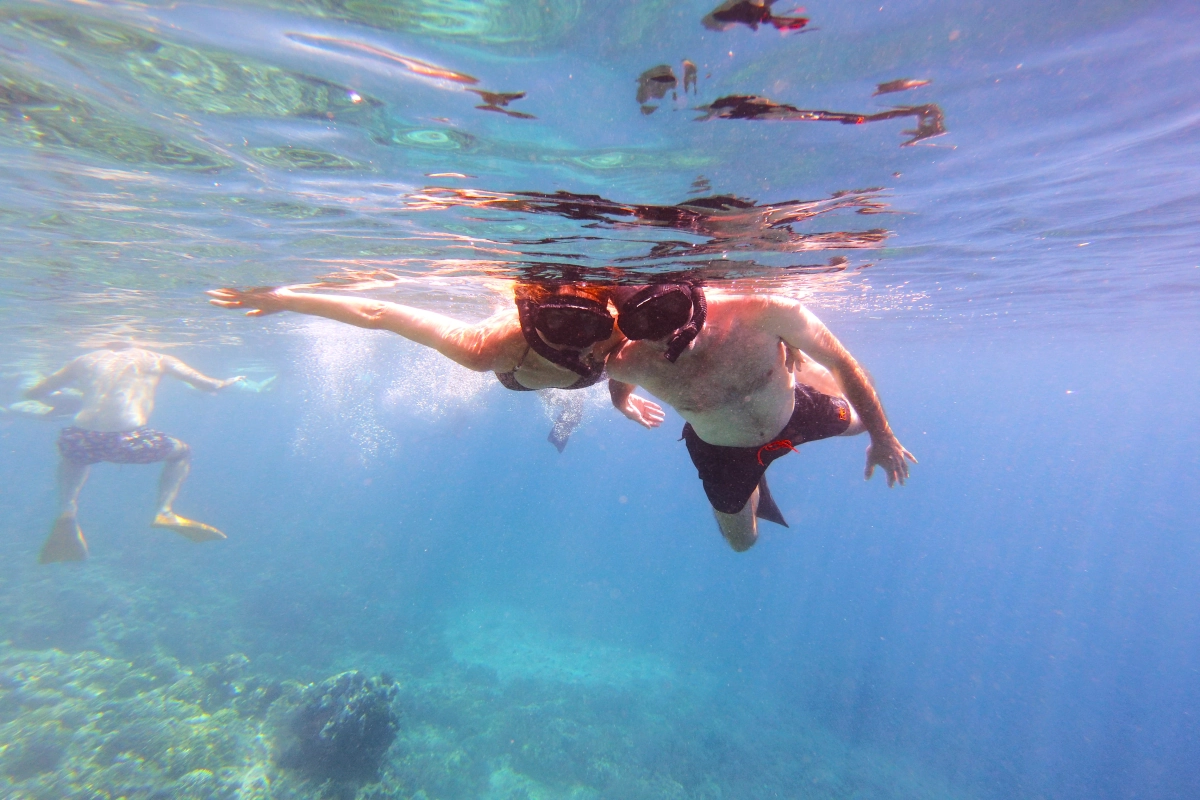 Snorkeling Adventure